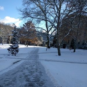 Meet your Posher, Hayley